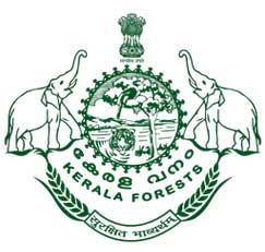 Kerala Forest