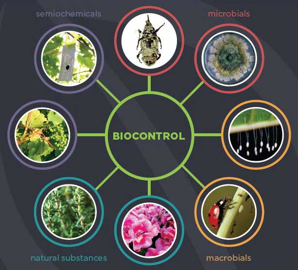 BIOCONTROL PROGRAMMES