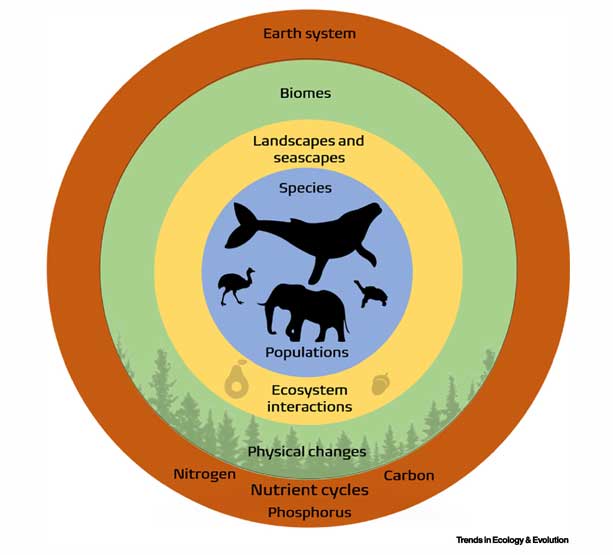 BIODIVERSITY CONSERVATION