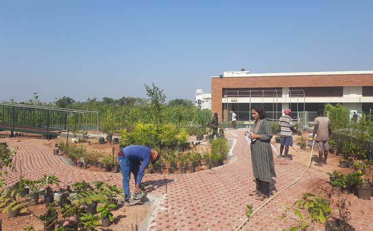 Development of Butterfly Garden, at Chittilapilly Square, Kakkanad, Kochi