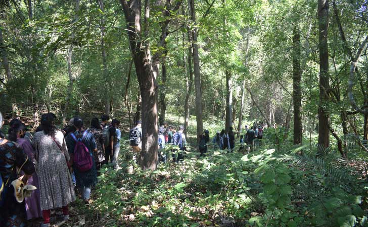 Internship Program on Throb of nature, the Forest Ecosystem with various colleges