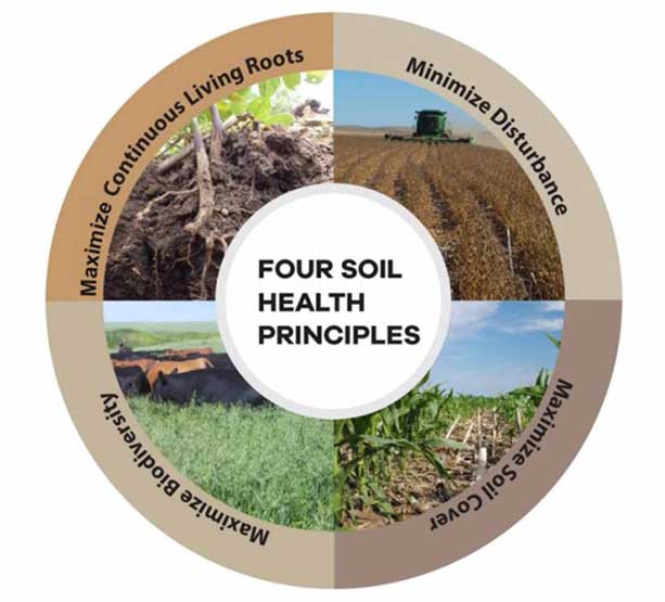 Soil and Ecosystem health